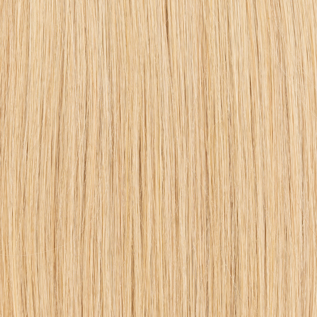Champagnerblond #A24 | MIREA Bondings
